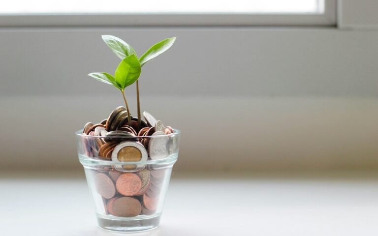 INVEST Zuschuss 2026: 15 Prozent für Business Angels