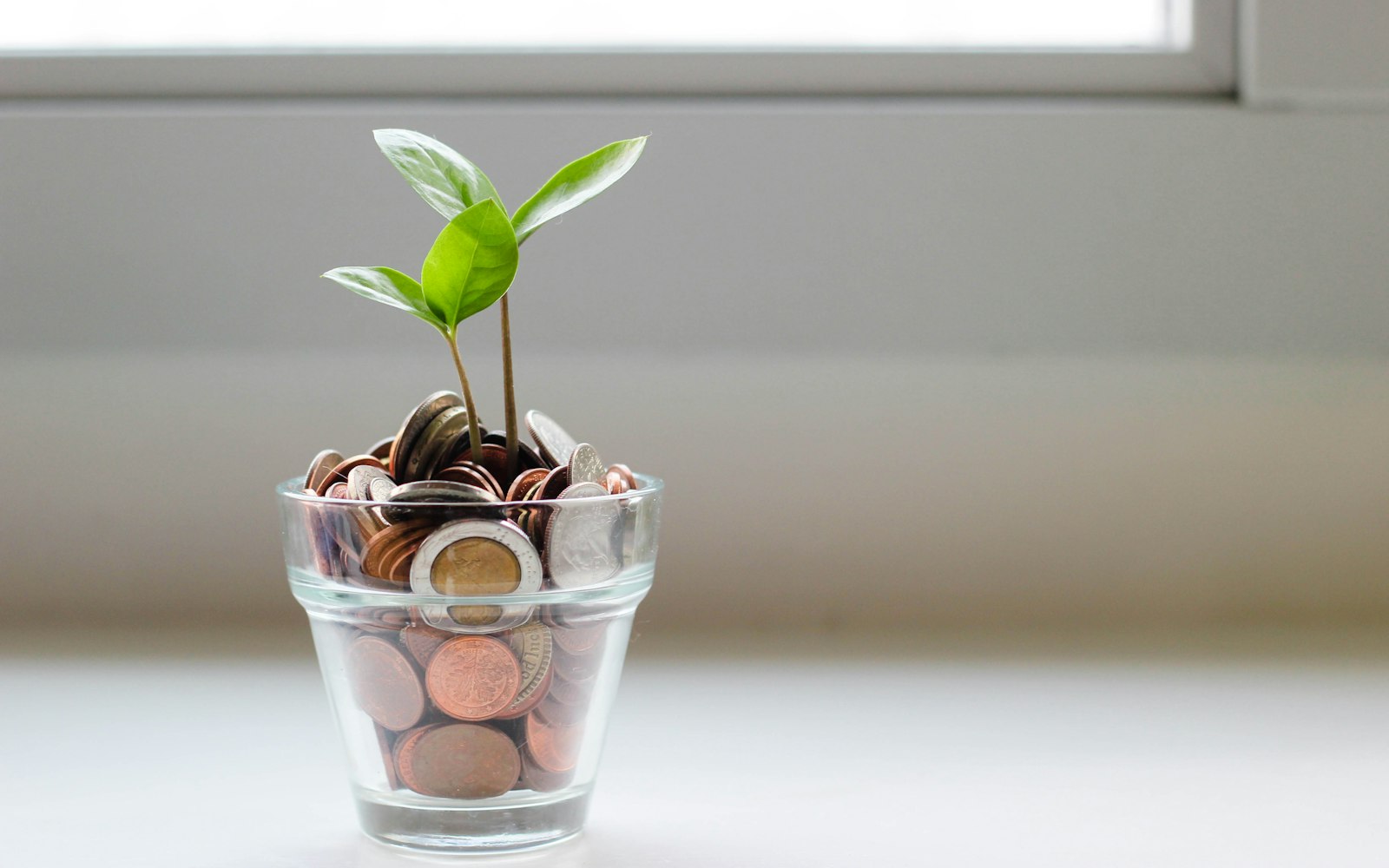 Symbolbild: INVEST Zuschuss 2026: 15 Prozent für Business Angels